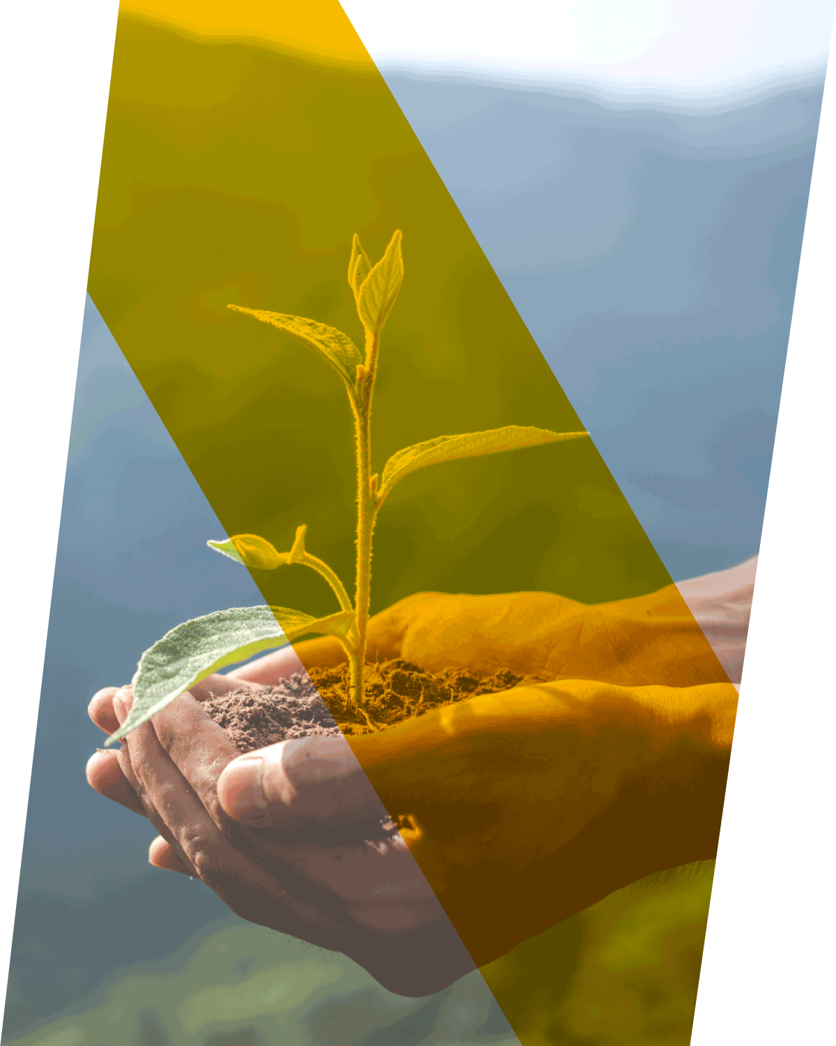 /uploads/2022/06/BG-Service-14001.png
