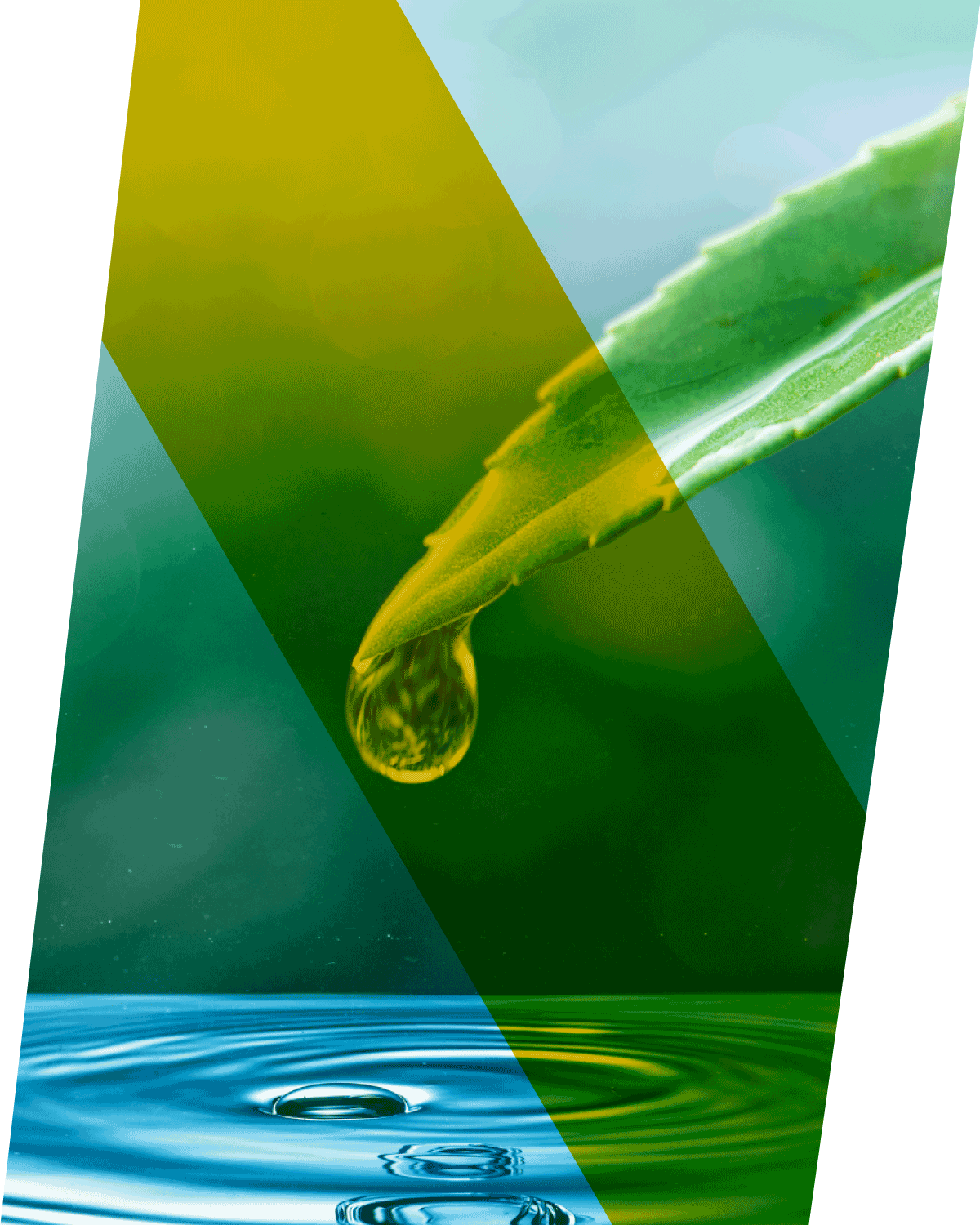 /uploads/2022/06/BG-Service-ECO.png